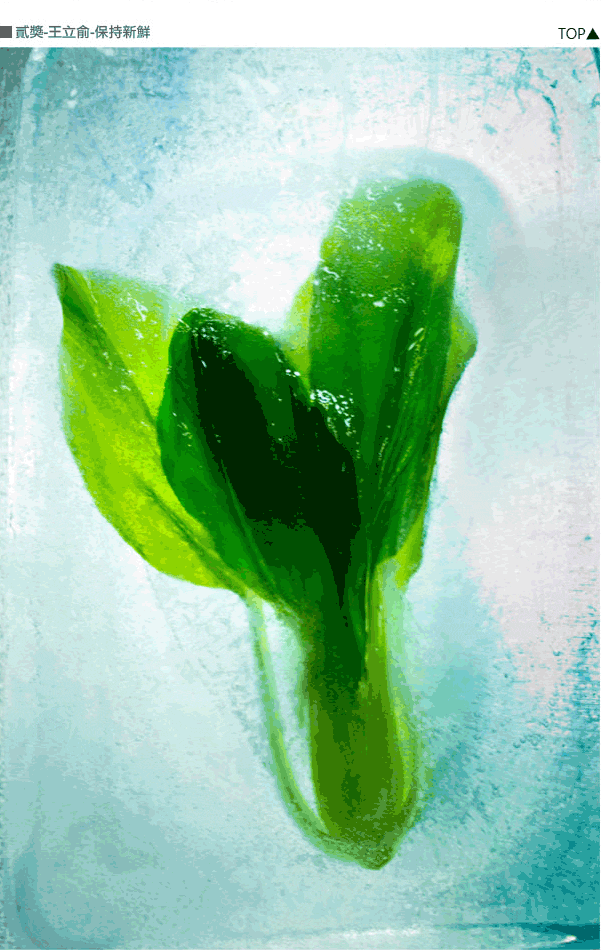 貳獎-王立俞-保持新鮮